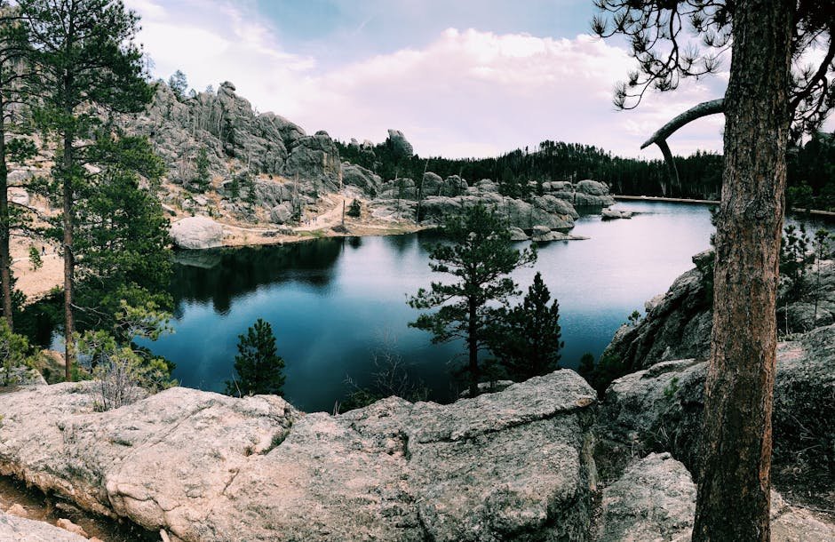 Best Insurance in South Dakota 2025 02/22/2026 Serene lake surrounded by rocky hills and conifer trees in Custer State Park, South Dakota.