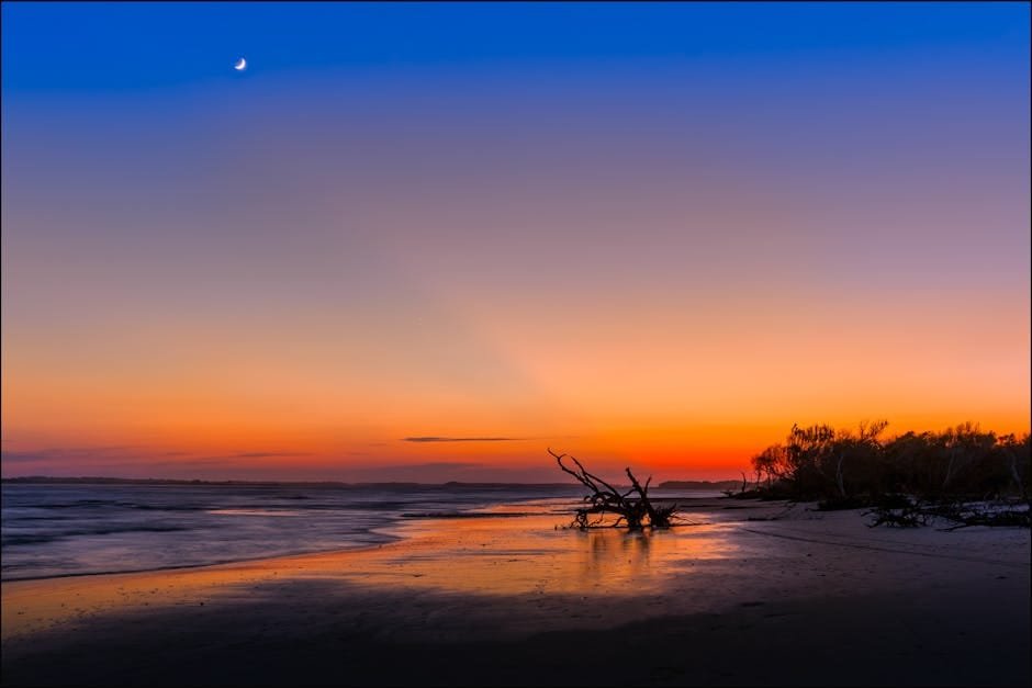 Best Insurance in South Carolina 2025 02/22/2026 Dramatic sunset over Folly Beach, SC with driftwood and moonlit reflections.