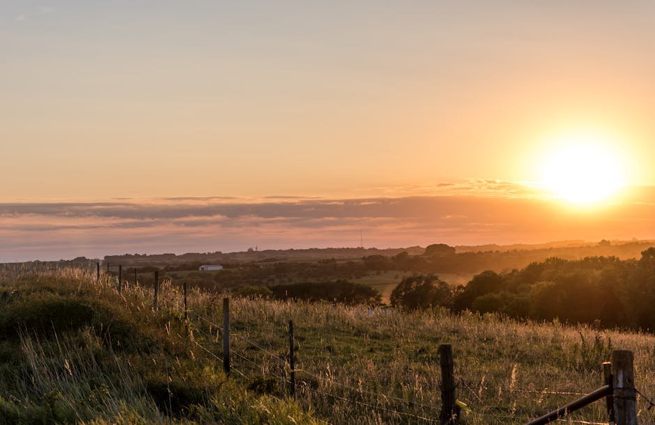 Serene view of sunrise illuminating rural Nebraska landscape with fields and trees.